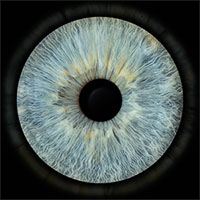 EYE FROM IRIS PROJECT